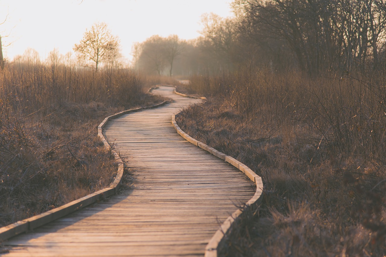 path, wetlands, outdoors-1839000.jpg