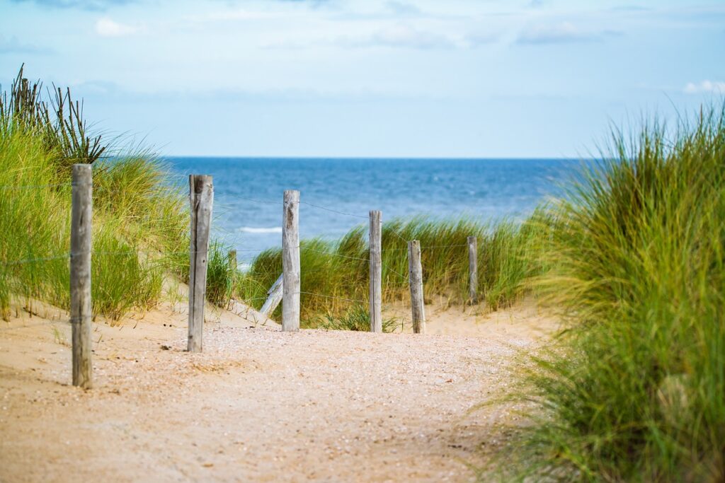 thin, sea, fence-2902686.jpg