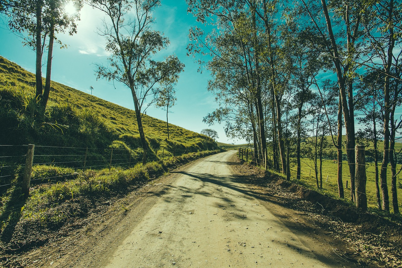 tree, road, landscape-1835522.jpg